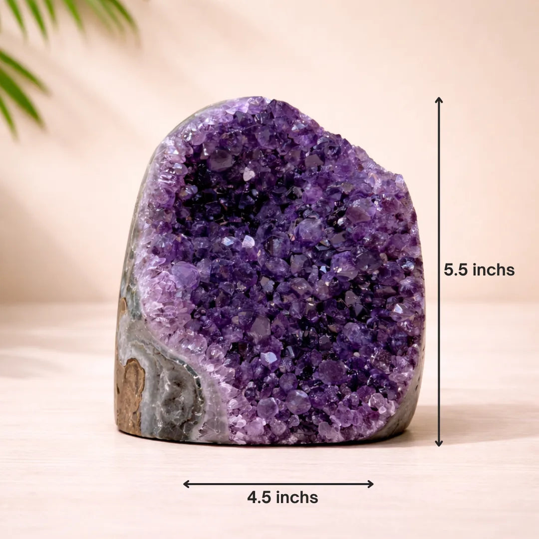 Massive 2Kg+ Divine Shield Amethyst Cave (AAA Quality)